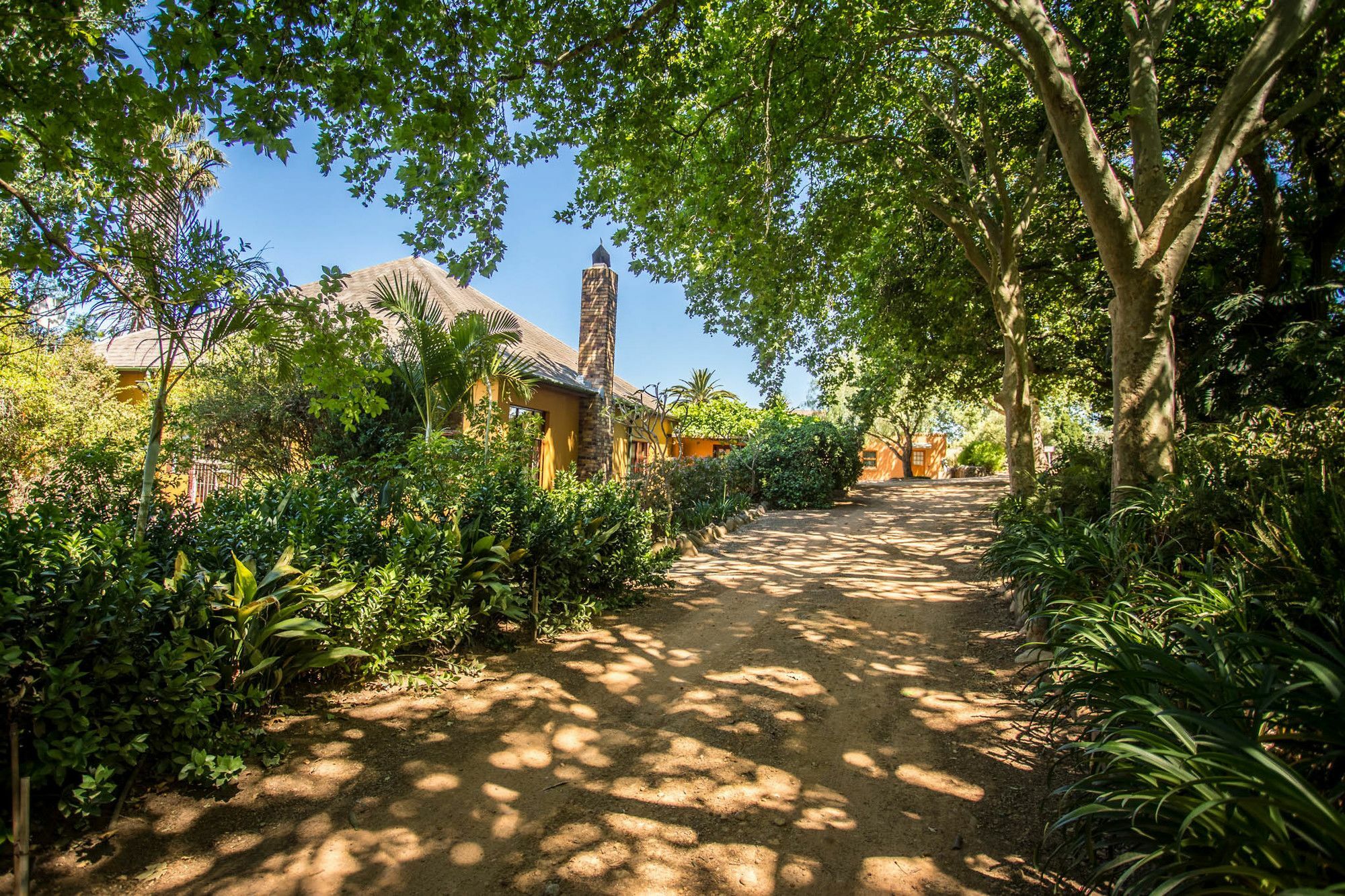 Dirtopia Trail Lodge 斯泰伦博斯 外观 照片